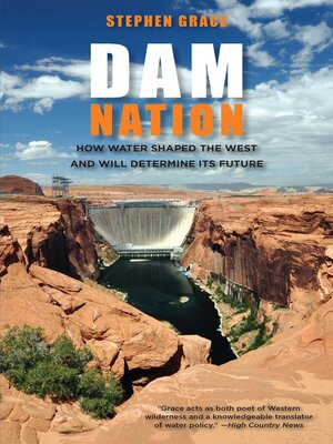 cover image of Dam Nation
